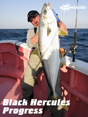 マングローブスタジオ　Black Hercules 7955S Mangrove Studio > Black Hercules /Progress