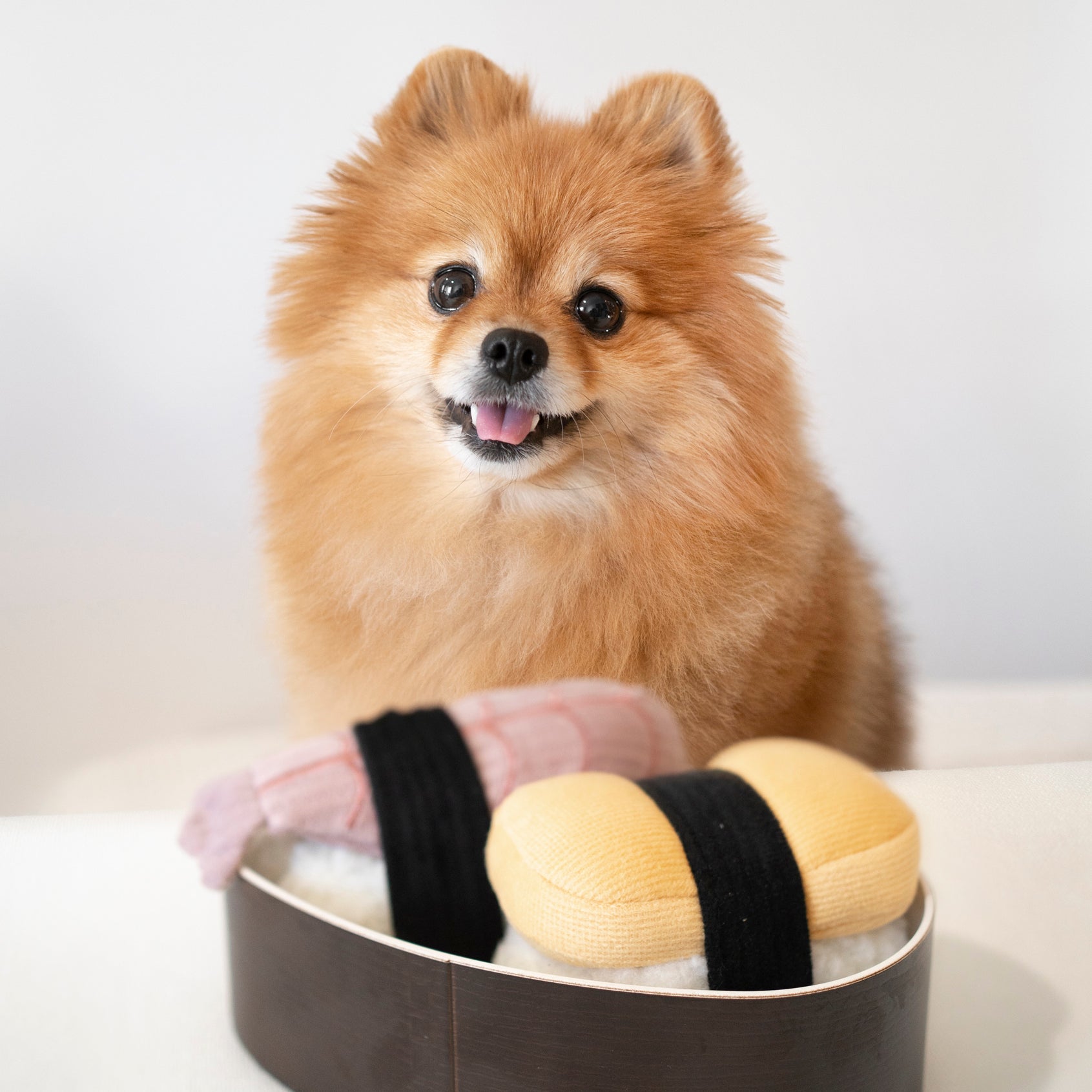 SUSHI - Enrichment and Interactive Dog Toy