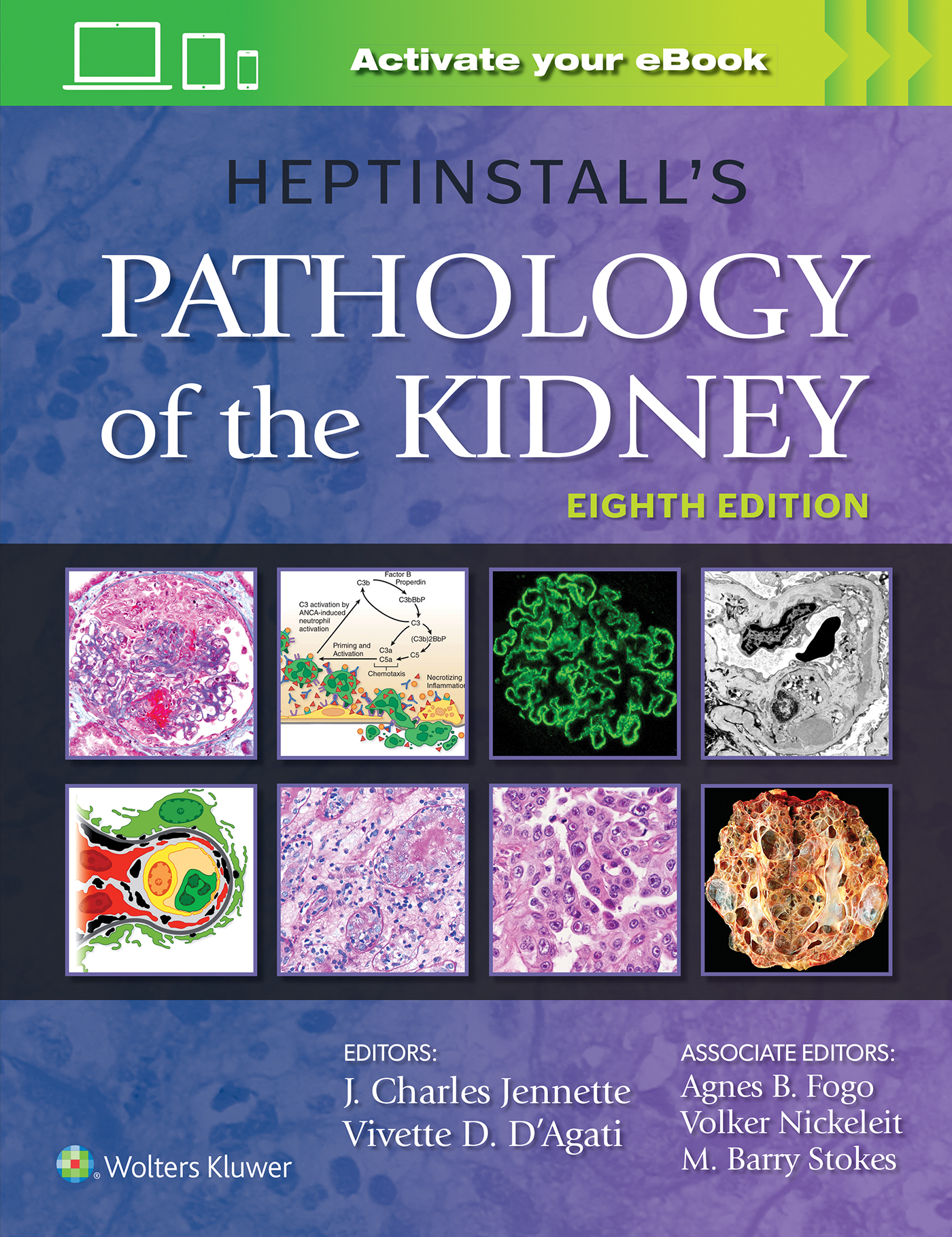 Heptinstall's Pathology of the Kidney, 8th ed.: 洋書／南江堂