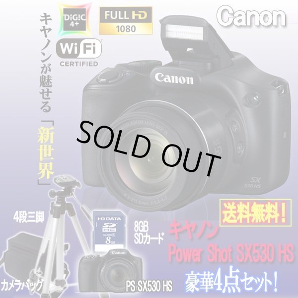 キヤノンPowerShot SX530 HS［豪華4点セット］TEL-10-4S