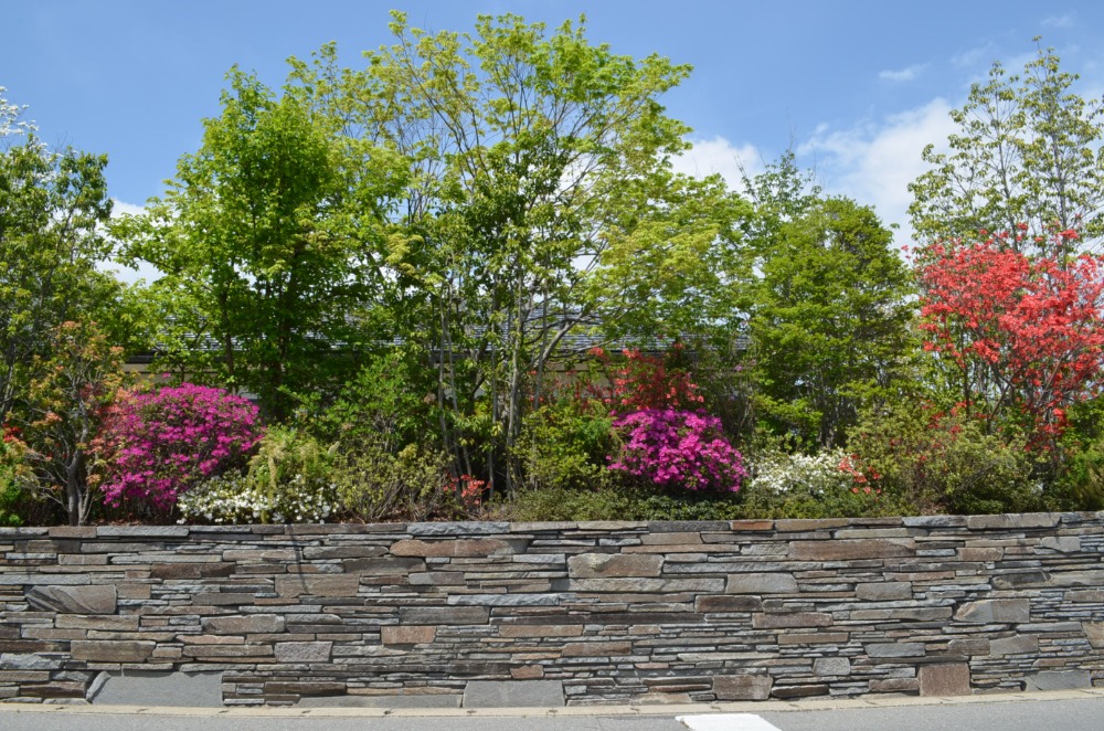 緑治園｜お庭をより素敵に魅せる「石積み」と「庭園石組」