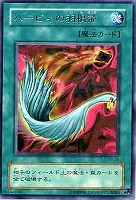 混沌の黒魔術師【遊戯王トレカお買得価格通販：CBトレコロ】