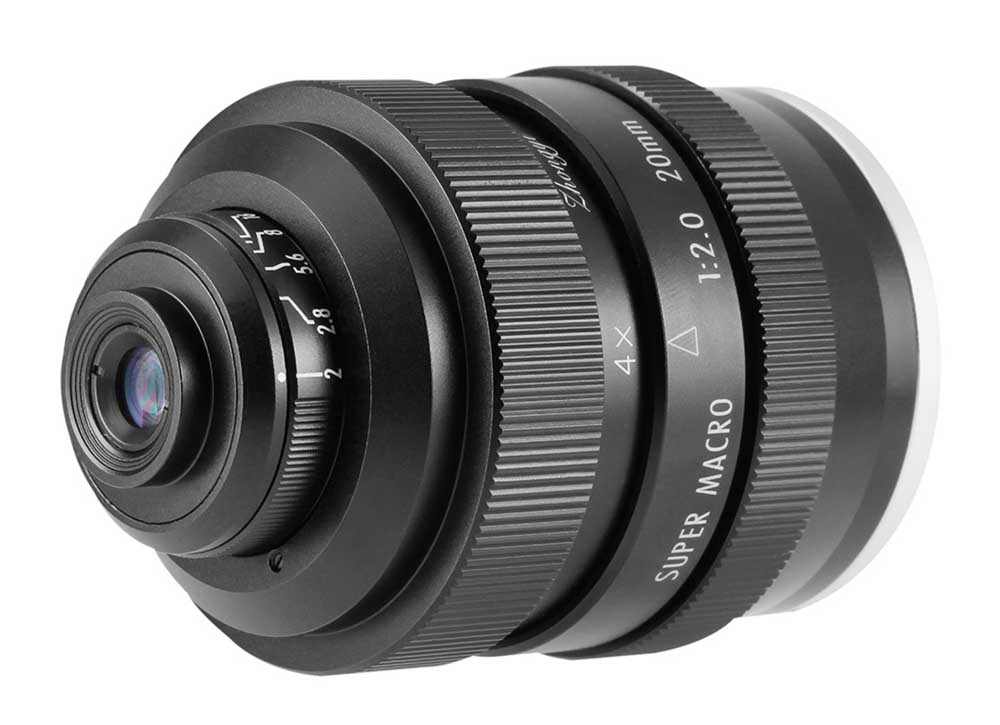 マイクロフォーサーズ 単焦点マクロレンズを選んでみる【2022年2月