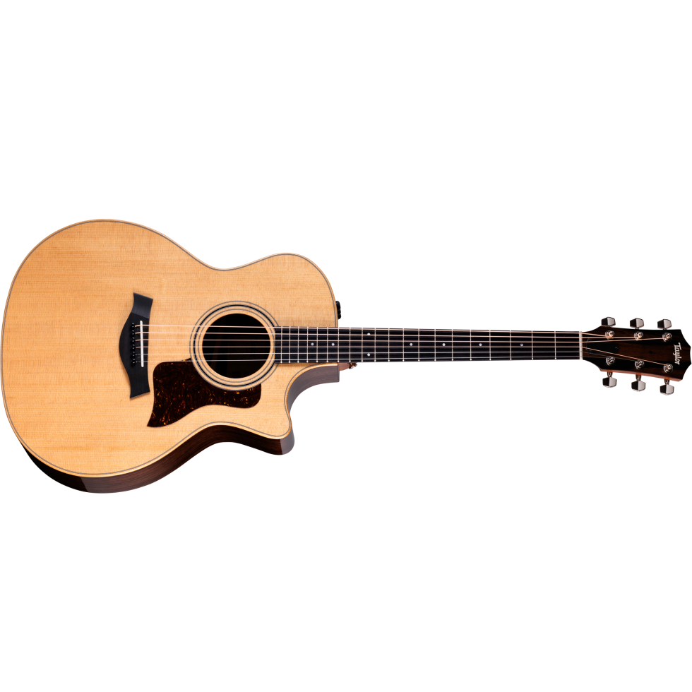 Taylor-414ce-Studio-Special-
