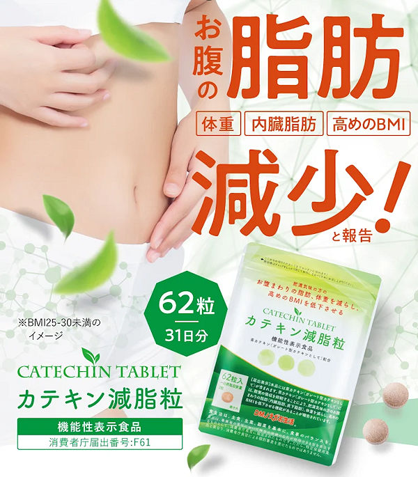 カテキン減脂粒 カテキン タブレット 62粒入り×3袋 カテキン減脂粒