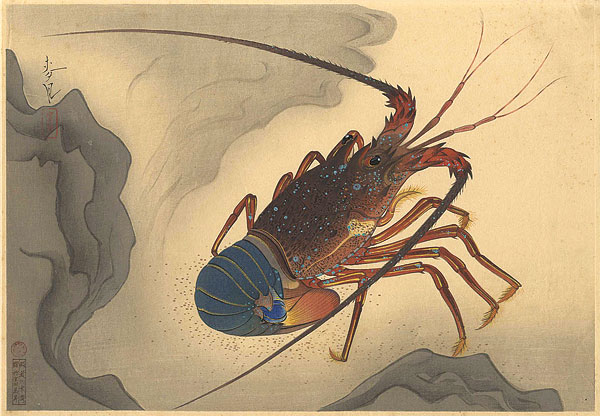 大野麥風「大日本魚類画集 伊勢海老」 | 山田書店美術部オンラインストア