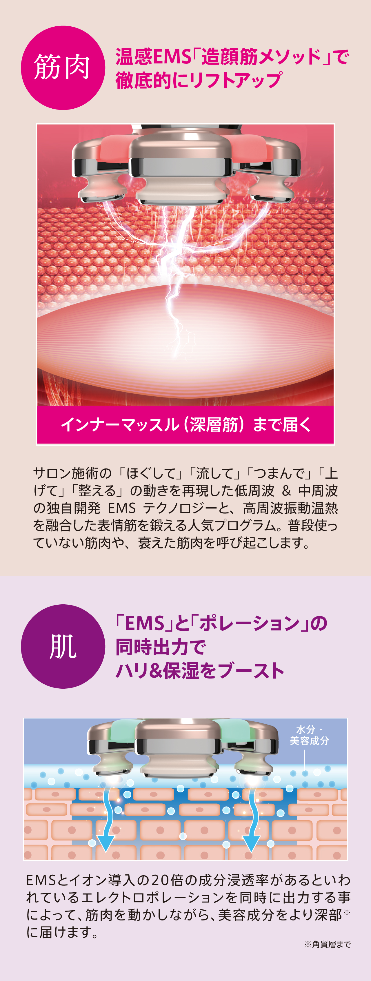 ゾーガンキンブルーム ALL ITEM 山口ビューティーメソッド