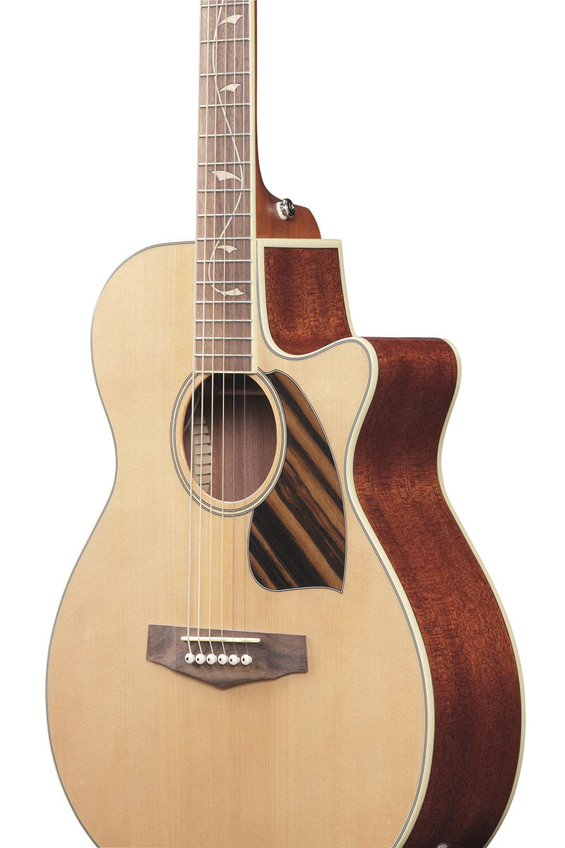 ウッドワークとデザイン性が魅力のアイバニーズのエレアコ3モデル