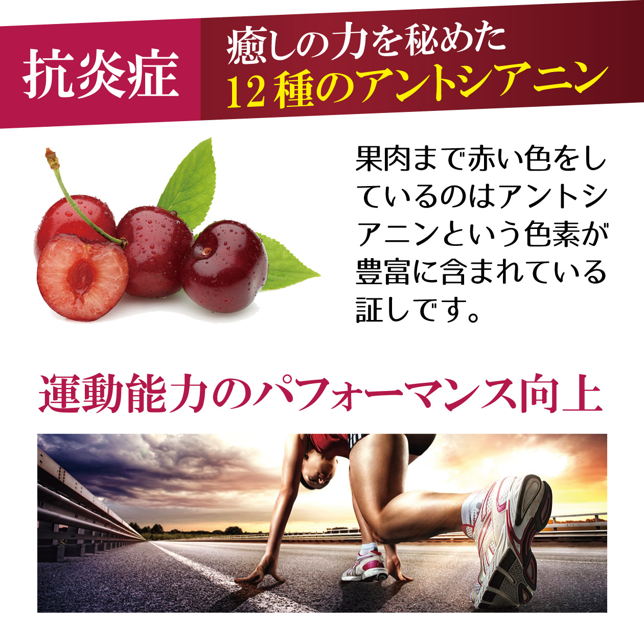 メラトンチェリー | ハピデリ