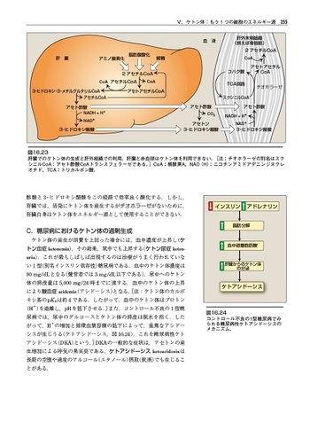 イラストレイテッド生化学 原書8版 - 丸善出版 理工・医学・人文社会