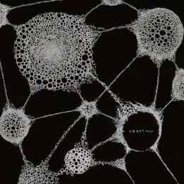 Zone The Darkness Discography: Vinyl, CDs, & More | Discogs