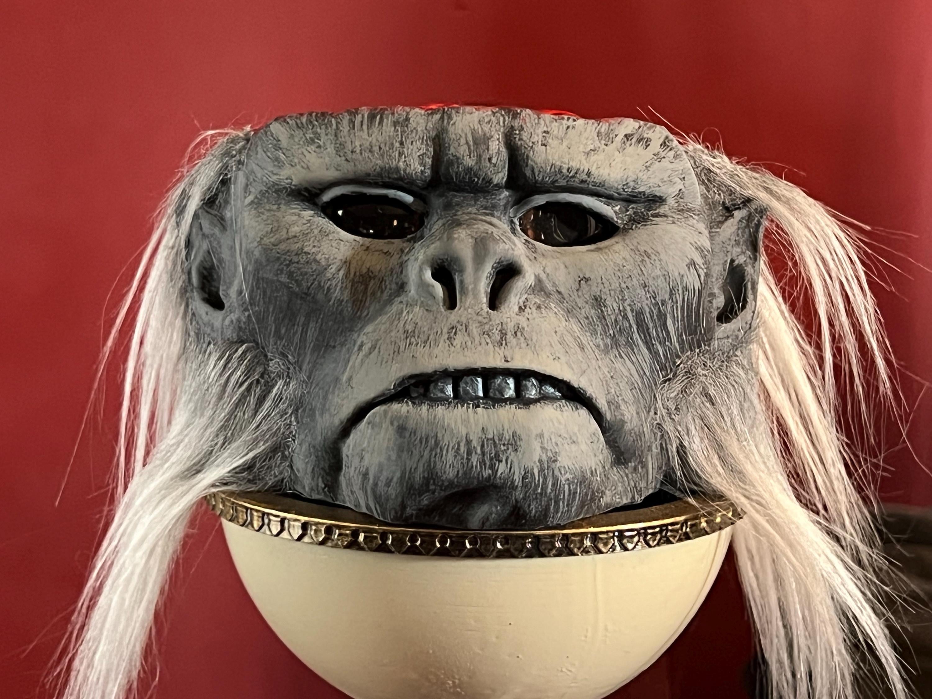 Chilled Monkey Brains With Cup - Etsy