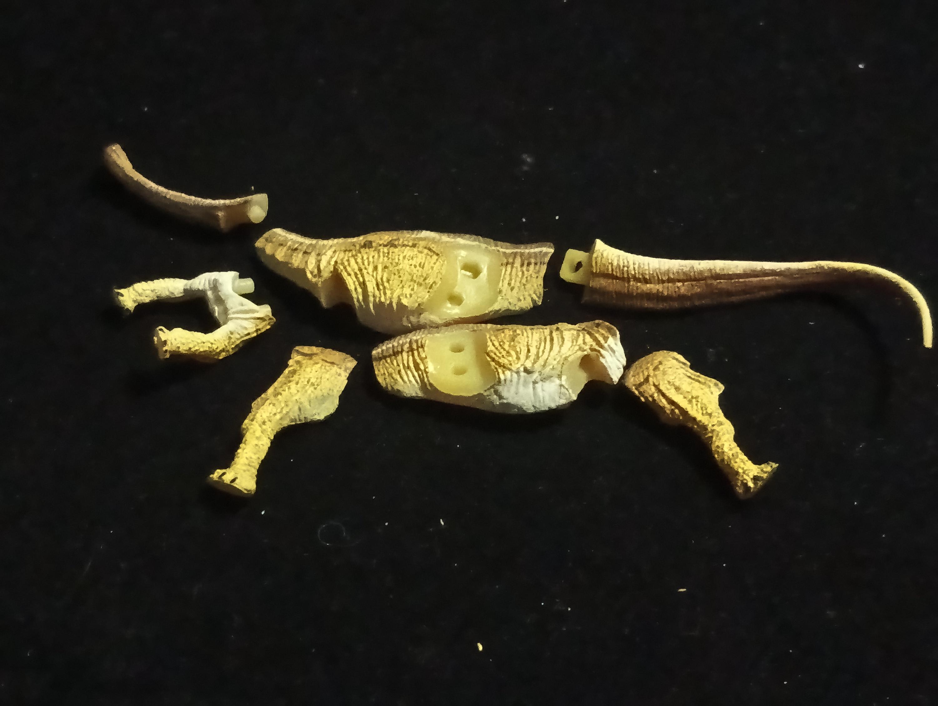 ワンダーフェスティバル2002夏限定版 セイスモサウルス 海洋堂