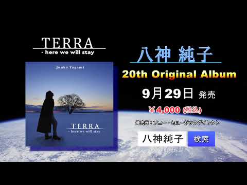 TERRA - here we will stay 八神純子ニューアルバム発売! - YouTube