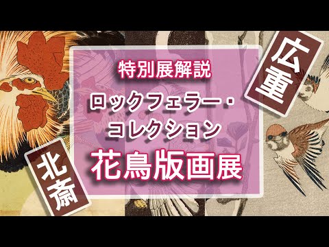 From Hiroshige's sparrows to Hokusai's birds! Special exhibition