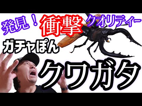 ちゃんねるカワランド】カワモト文明 - YouTube