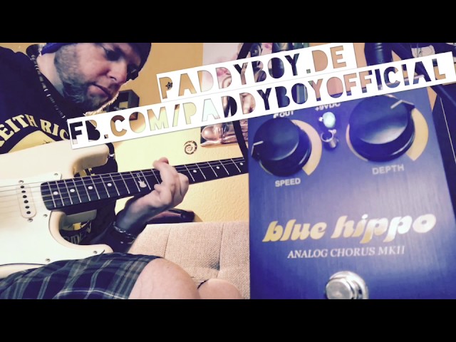 Way Huge Blue Hippo Analog Chorus MKII tested by Paddy Boy