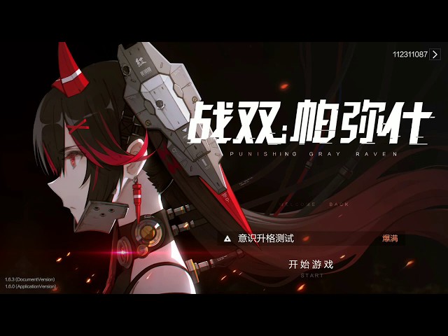 海外ゲーム】パニシング ：グレイレイヴン（PUNISHING : Gray Raven