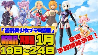 Weekly Bishoujo Plastic Model Information