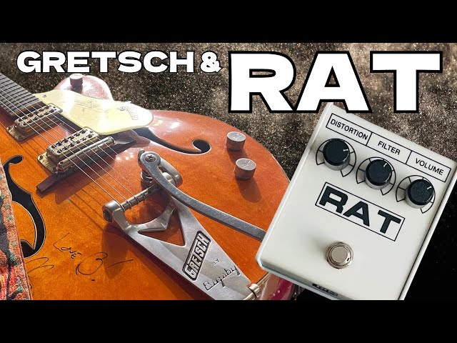 ProCo RAT II White】1960 Gretsch 6120 × White RAT II - YouTube