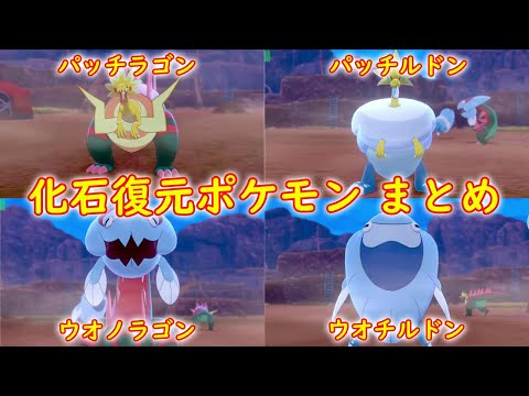 化石ポケモン】全4種 組み合わせ まとめ【パッチラゴン・パッチルドン
