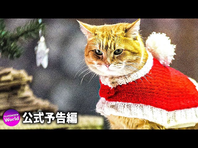 映画『ボブという名の猫 2 / A Christmas Gift from Bob』US予告編