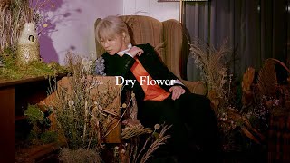 PENOMECO 페노메코 | Dry Flower [Full Album] - YouTube