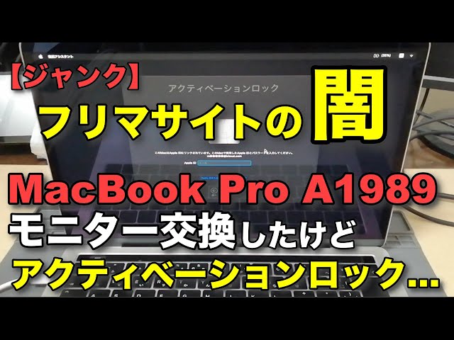 Junk] Replaced Monitor of MacBook Pro A1989 But It was Activation
