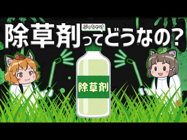 sddefault.jpg?v=64c692ee