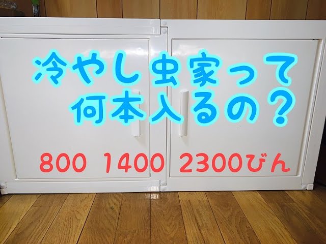 補足 冷やし虫家に菌糸瓶って何本はいるの？（800・1400・2300で試し