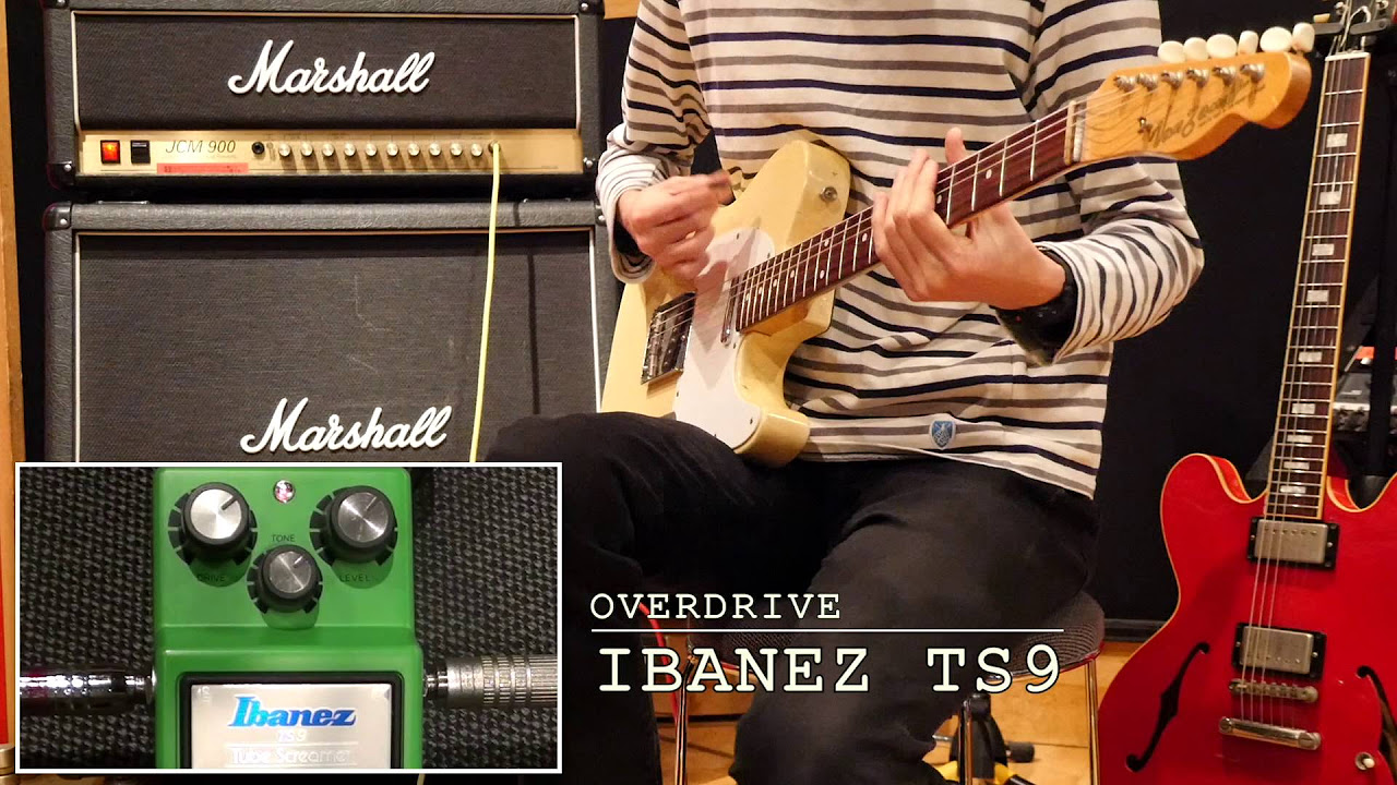 Ibanez / TS9 Tube Screamer「特集：歪みエフェクターのトリセツ