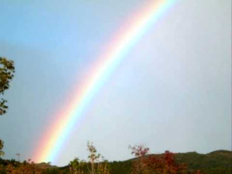 郷田祐美子 / Yumiko Goda 