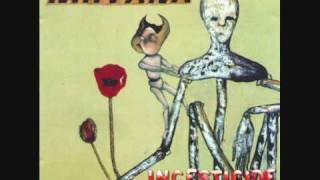⭐️Nirvana / Incesticide - Guitar Records