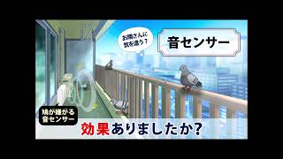 鳩被害対策の専門店 izumiのハトよけ 【公式サイト】｜鳩よけネット
