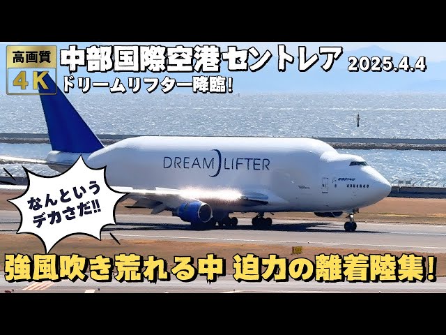 中部国際空港セントレア NGO/RJGG 強風吹き荒れる中の飛行機離着陸集