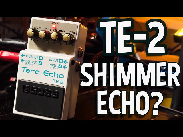 Boss TE-2 Tera Echo - It's Full of Space - YouTube