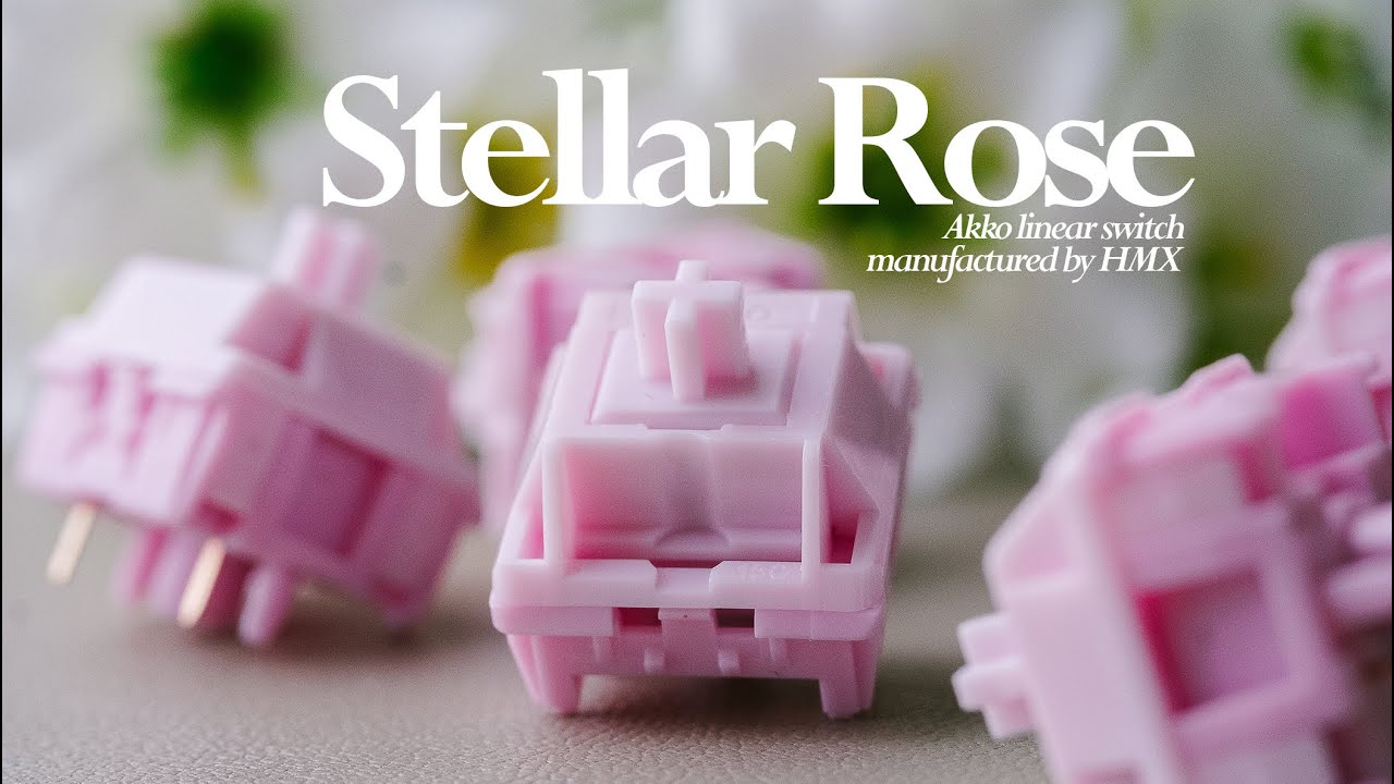 I Wish I Tried These Switches Sooner (Akko Stellar Rose Review