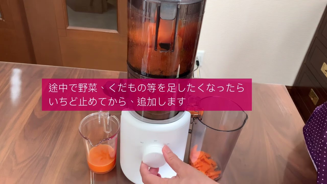 ヒューロム スロージューサー H310A 使用レポ 購入を迷っていたら見て