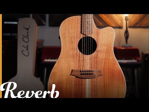 ギター UIUI ColeClark FL2EC RDBW FatLady2 Cole Clark FL2EC-BLBL-AE