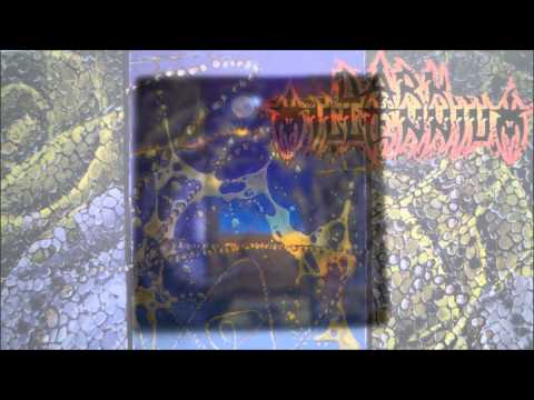Dark Millennium – Ashore The Celestial Burden – CD (Album), 1992