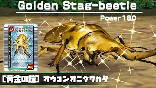 甲虫王者ムシキング紹介 - 黄金の鎧 - オウゴンオニクワガタ - YouTube