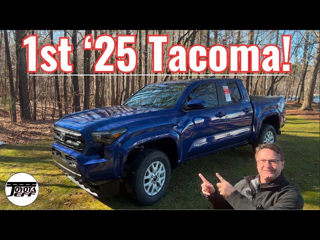 TACOMA DR16C ナチュラル 塗装に難有り！ TACOMA DR16C ナチュラル