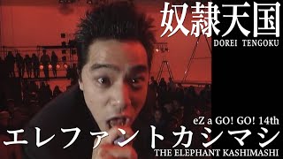 THE ELEPHANT KASHIMASHI 