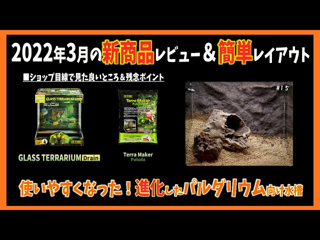 パルダリウム】 新製品！グラステラリウムドレインを使ってレイアウト