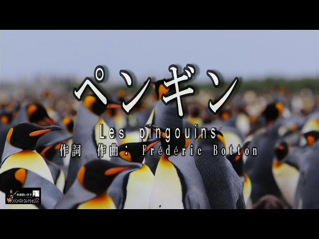 No 185 ペンギン（歌詞入り）Lespingouins【名曲シャンソンのご紹介