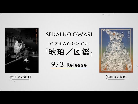 New Sg 「琥珀／図鑑」【初回限定盤 商品映像】 - YouTube