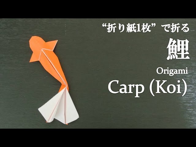 折り紙1枚】簡単！立体で可愛い魚『鯉』の折り方 How to make a carp