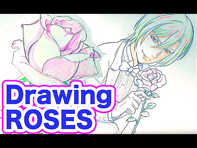 How to draw ROSES Tutorial by Japanese Veteran Animator HINOE｜ひ