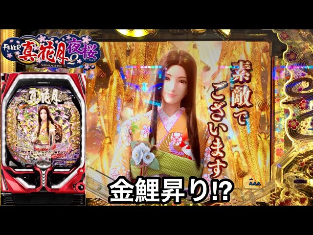 新台【PF真花月2 夜桜バージョン】10万円持って天井到達を目指してみた