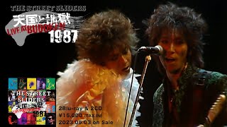 The Street Sliders「HEAVEN AND HELL LIVE AT BUDOKAN 1987」Digest